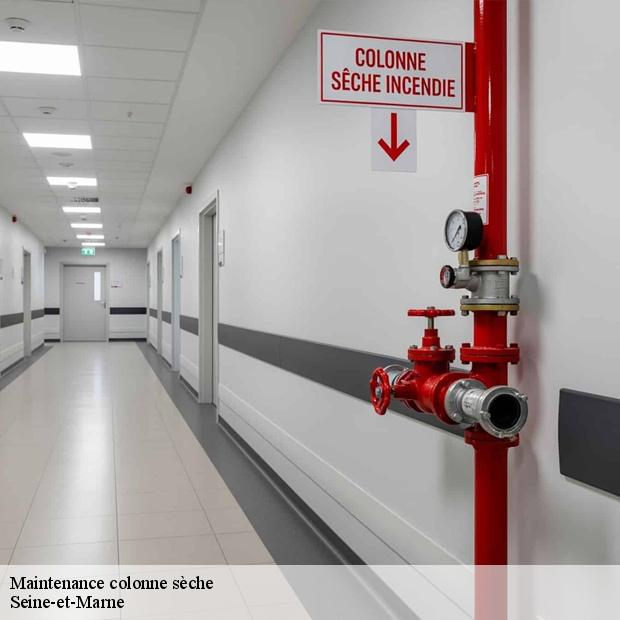maintenance-colonne-seche-77-8