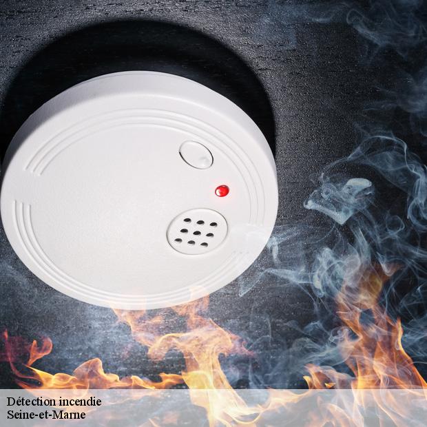 detection-incendie-77-2