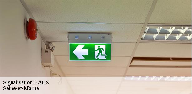 signalisation-baes-77-5