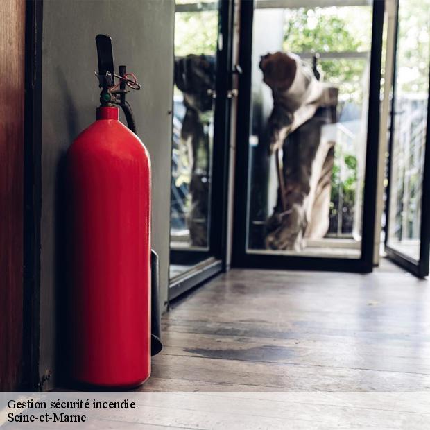 gestion-securite-incendie-77-2