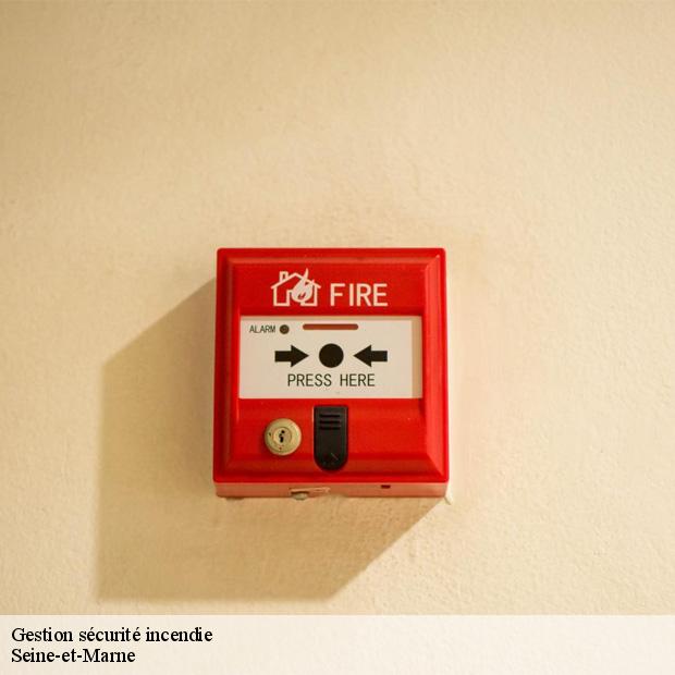 gestion-securite-incendie-77-8