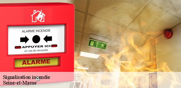 signalisation-incendie-77-5