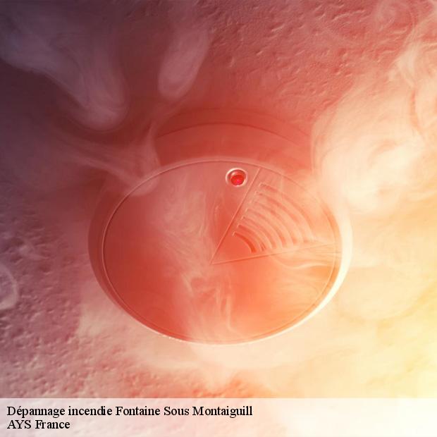 service-depannage-incendie-fontaine-sous-montaiguill-77560-1