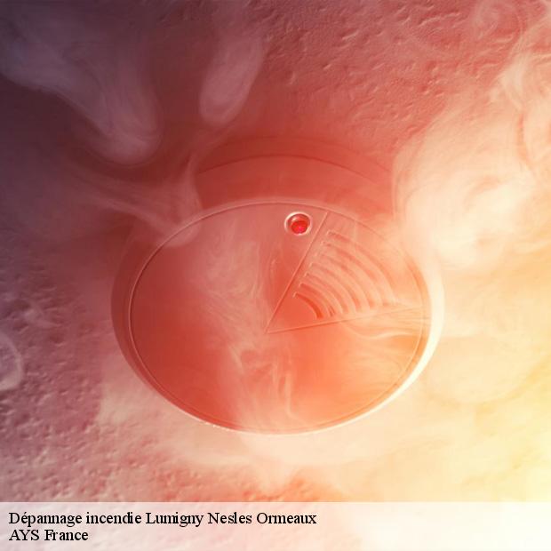 service-depannage-incendie-lumigny-nesles-ormeaux-77540-1