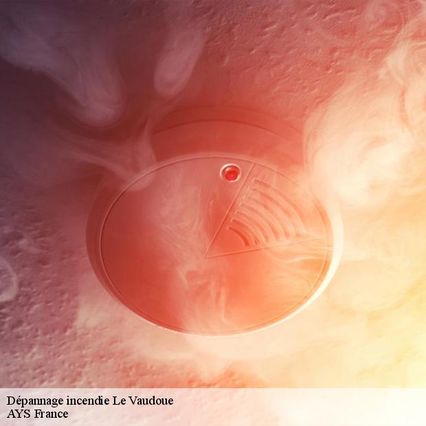 service-depannage-incendie-le-vaudoue-77123-1