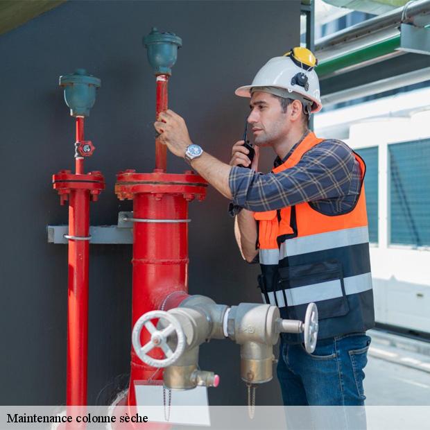 societe-maintenance-colonne-seche-la-chapelle-moutils-77320-3