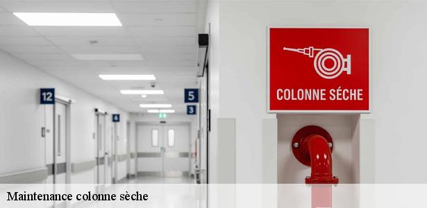 societe-maintenance-colonne-seche-coulommiers-77120-6