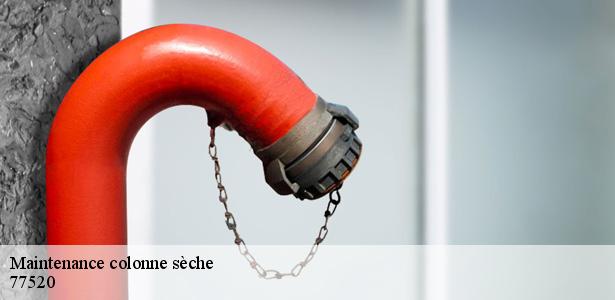 societe-maintenance-colonne-seche-donnemarie-dontilly-77520-5