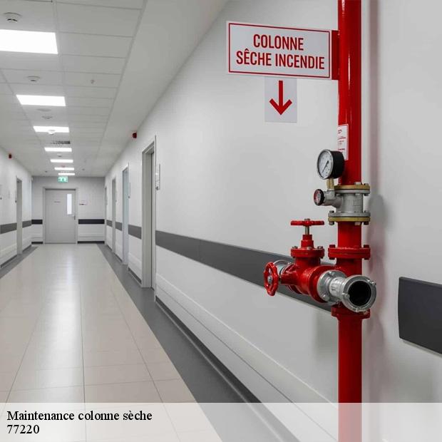 societe-maintenance-colonne-seche-favieres-77220-8