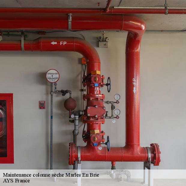 societe-maintenance-colonne-seche-marles-en-brie-77610-1