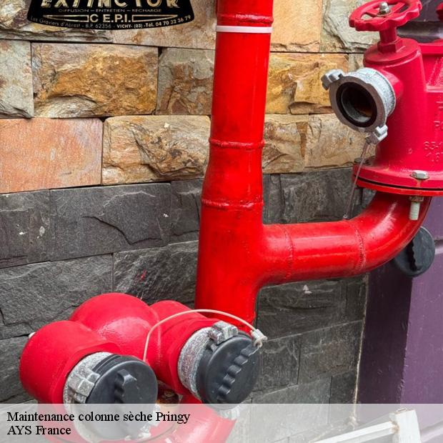 societe-maintenance-colonne-seche-pringy-77310-4