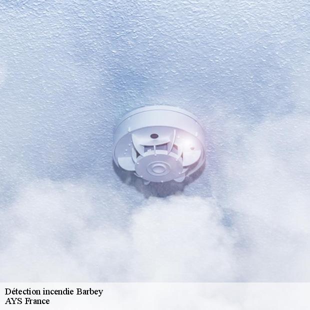 installation-de-detection-incendie-barbey-77130-1