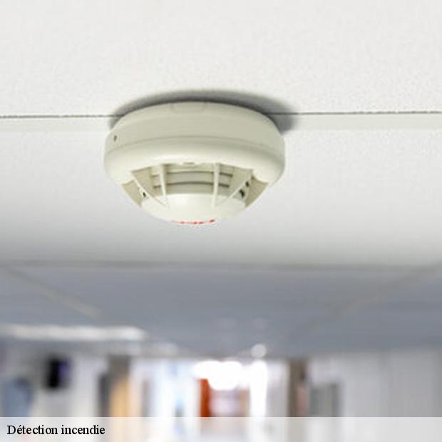 installation-de-detection-incendie-champs-sur-marne-77420-3
