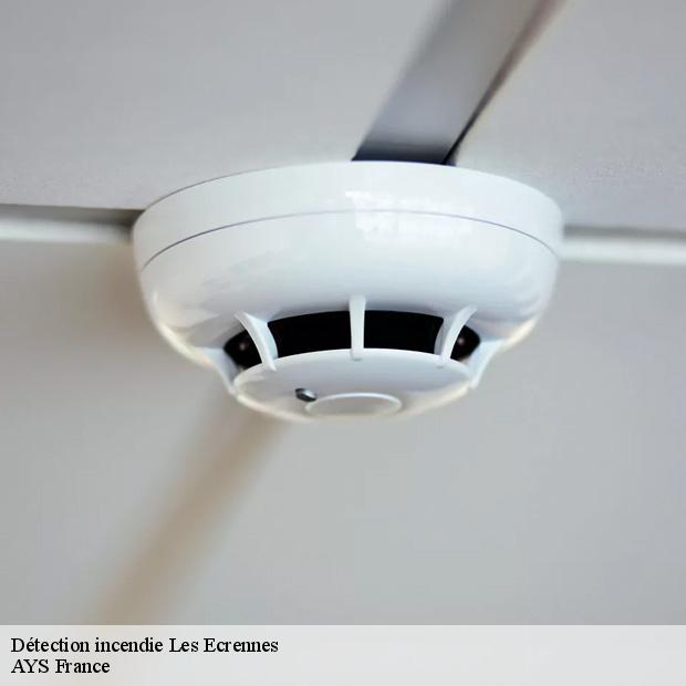 installation-de-detection-incendie-les-ecrennes-77820-7