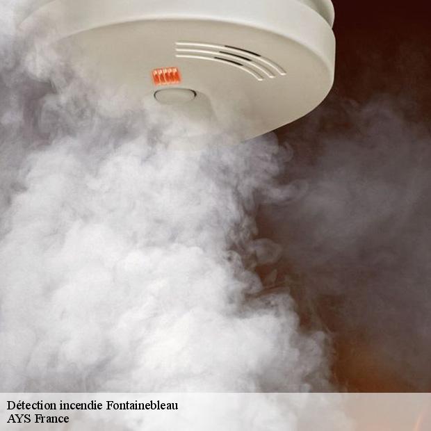 installation-de-detection-incendie-fontainebleau-77300-4