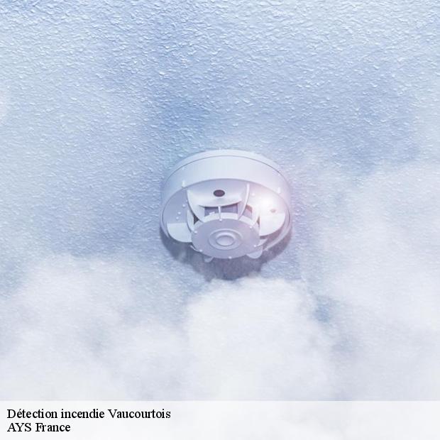 installation-de-detection-incendie-vaucourtois-77580-1