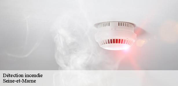 installation-de-detection-incendie-marne-la-vallee-77420-5