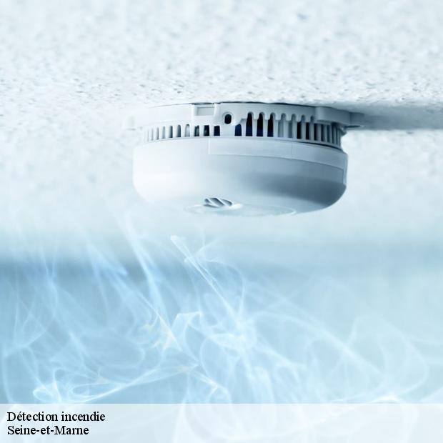 installation-de-detection-incendie-marne-la-vallee-77420-8