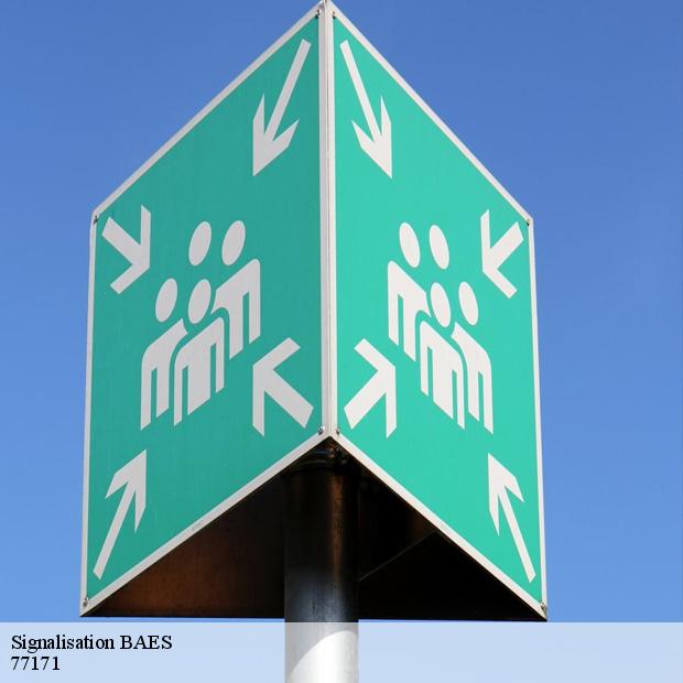 entreprise-specialisee-en-signalisation-baes-chalautre-la-grande-77171-2