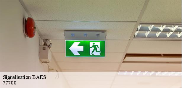 entreprise-specialisee-en-signalisation-baes-coupvray-77700-5