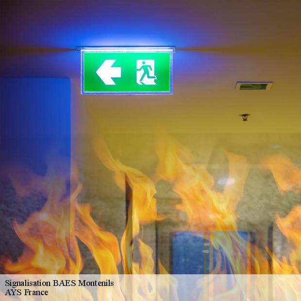 entreprise-specialisee-en-signalisation-baes-montenils-77320-7