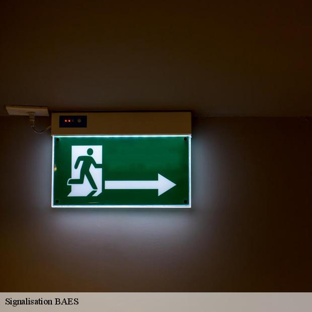 entreprise-specialisee-en-signalisation-baes-la-tretoire-77510-3
