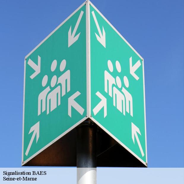 entreprise-specialisee-en-signalisation-baes-marne-la-vallee-77420-2
