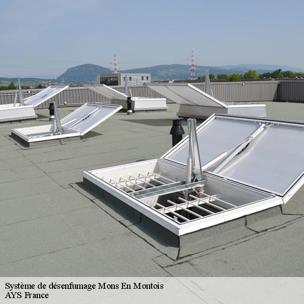 specialiste-en-systeme-de-desenfumage-mons-en-montois-77520-4
