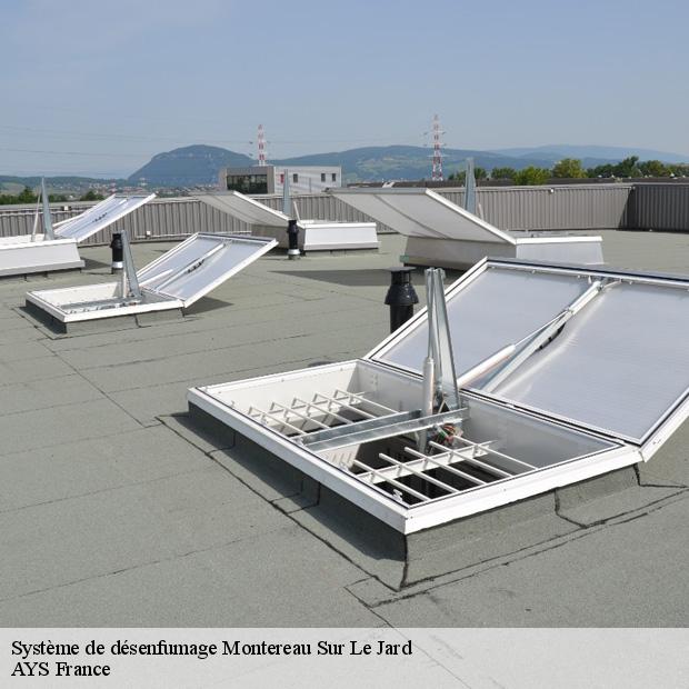 specialiste-en-systeme-de-desenfumage-montereau-sur-le-jard-77950-4