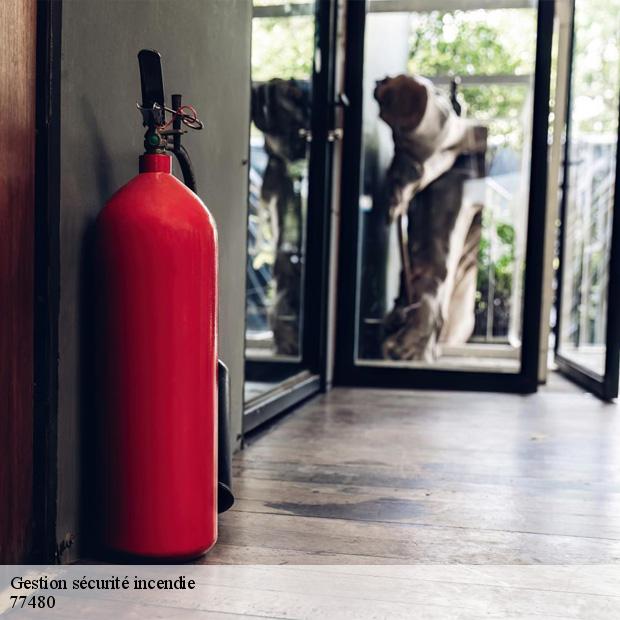 professionnel-en-gestion-securite-incendie-baby-77480-2