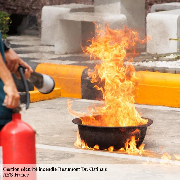 professionnel-en-gestion-securite-incendie-beaumont-du-gatinais-77890-4