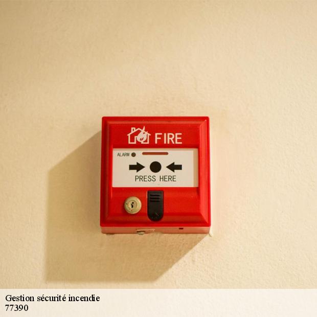 professionnel-en-gestion-securite-incendie-beauvoir-77390-8