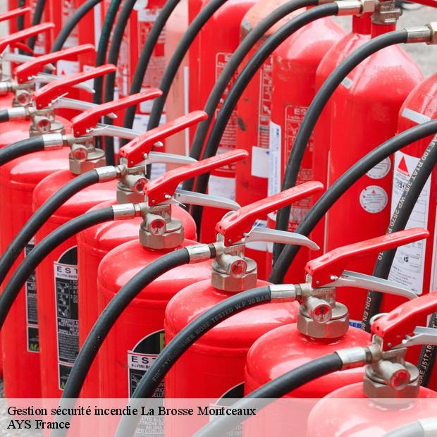 professionnel-en-gestion-securite-incendie-la-brosse-montceaux-77940-1