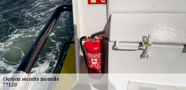 professionnel-en-gestion-securite-incendie-chailly-en-brie-77120-5