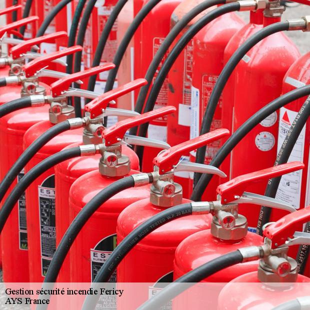 professionnel-en-gestion-securite-incendie-fericy-77133-1
