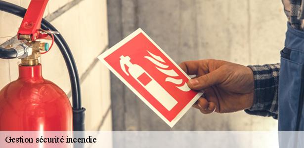 professionnel-en-gestion-securite-incendie-fontainebleau-77300-6