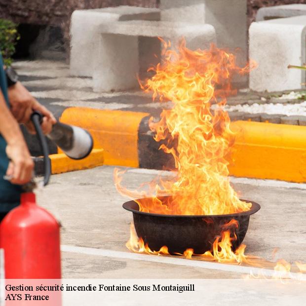 professionnel-en-gestion-securite-incendie-fontaine-sous-montaiguill-77560-4