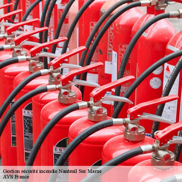 professionnel-en-gestion-securite-incendie-nanteuil-sur-marne-77730-1