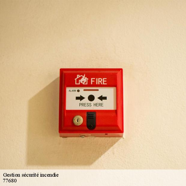 professionnel-en-gestion-securite-incendie-roissy-en-brie-77680-8