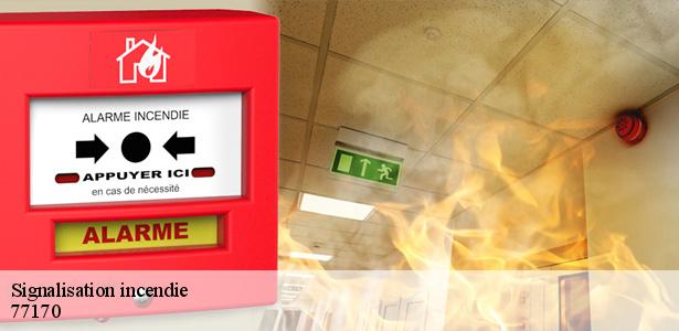 expert-en-signalisation-incendie-brie-comte-robert-77170-5