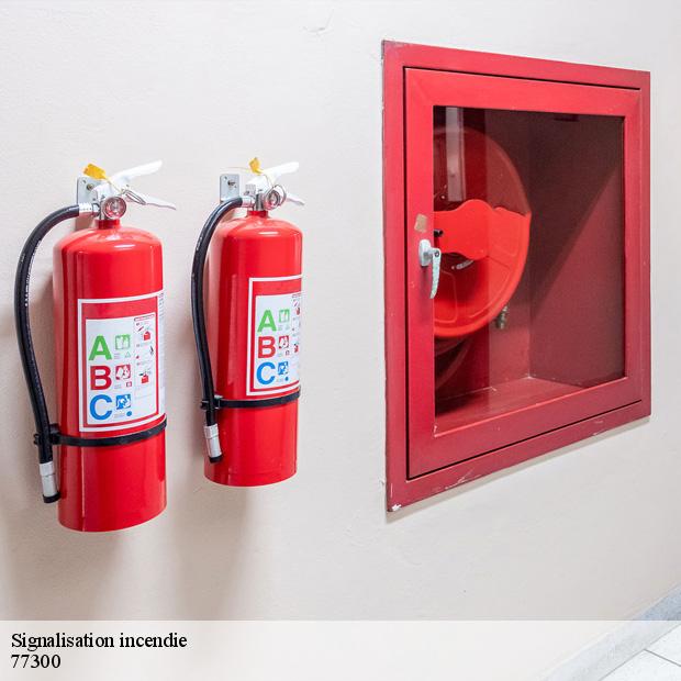 expert-en-signalisation-incendie-fontainebleau-77300-2