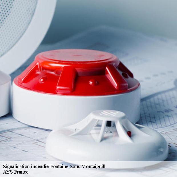 expert-en-signalisation-incendie-fontaine-sous-montaiguill-77560-4