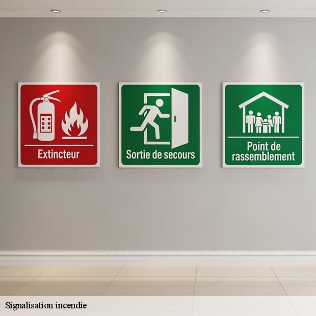 expert-en-signalisation-incendie-puisieux-77139-3