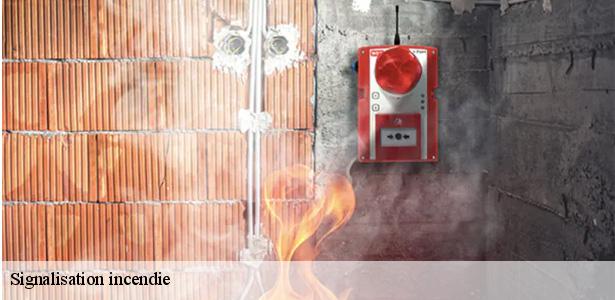 expert-en-signalisation-incendie-saint-mesmes-77410-6