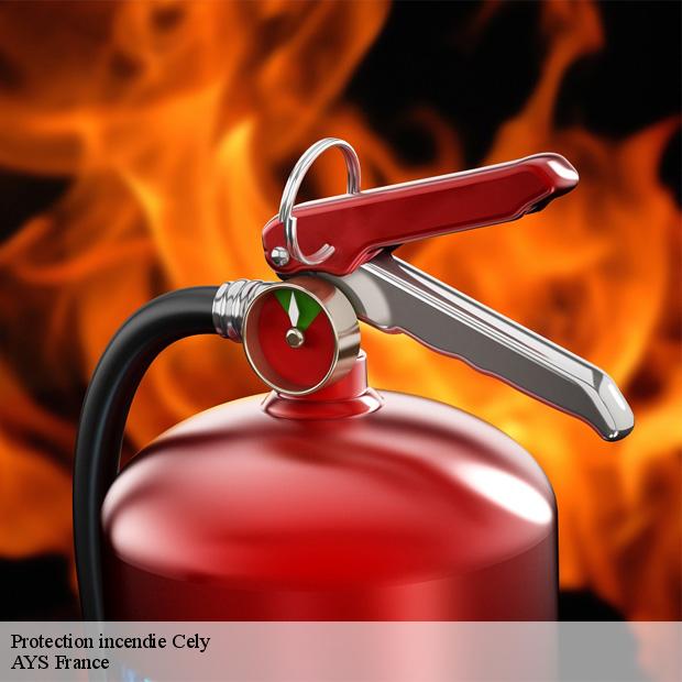 expert-en-protection-incendie-cely-77930-4