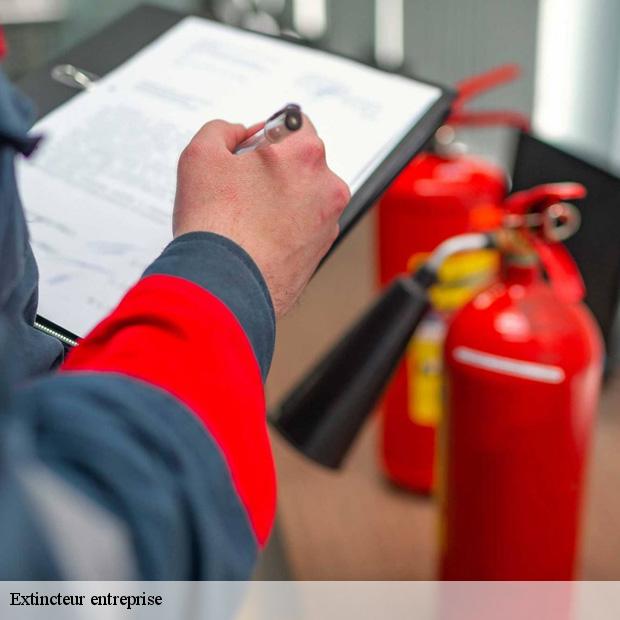 etablissement-de-vente-d-extincteur-entreprise-dormelles-77130-3