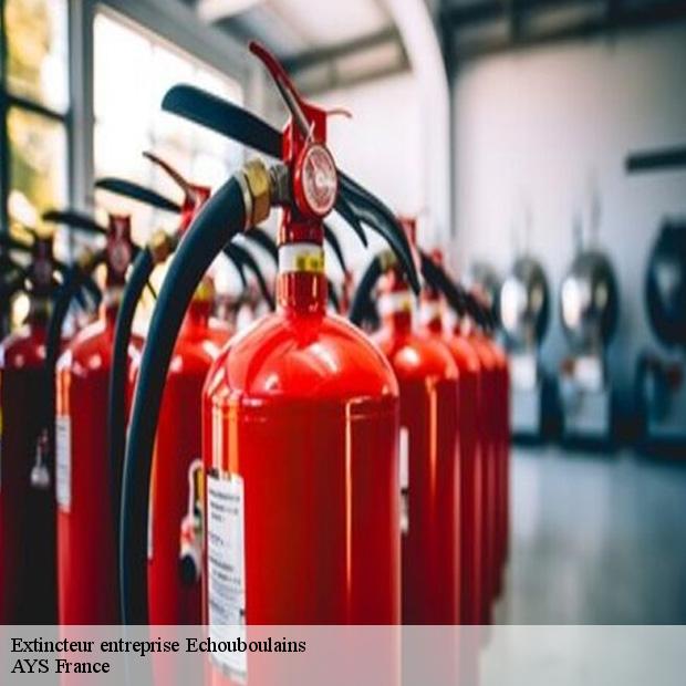 etablissement-de-vente-d-extincteur-entreprise-echouboulains-77830-1