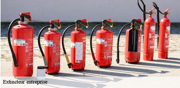 etablissement-de-vente-d-extincteur-entreprise-germigny-l-eveque-77910-6