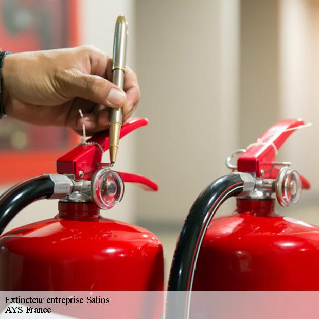 etablissement-de-vente-d-extincteur-entreprise-salins-77148-7