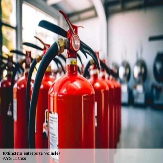 etablissement-de-vente-d-extincteur-entreprise-voinsles-77540-1